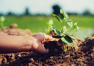 Agribusiness expertise